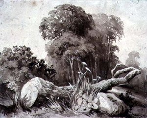 A Felled Tree by Thomas Collier